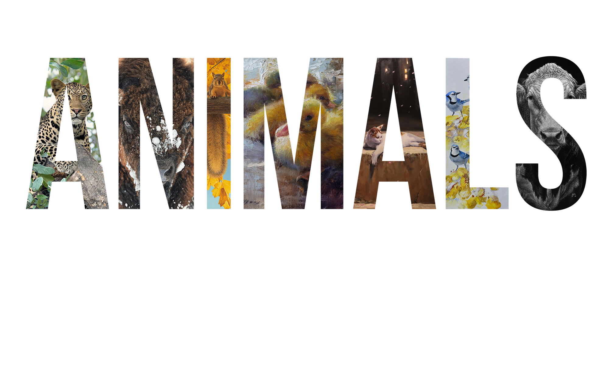 Slide of Animals, Birds & Wildlife show teaser