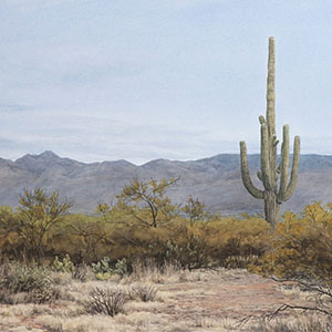 thumbnail of Solitude