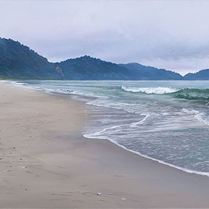 thumbnail of Being There, Haast to Jackson Bay