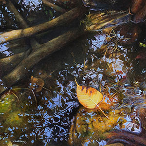 thumbnail of Nature's Mirror