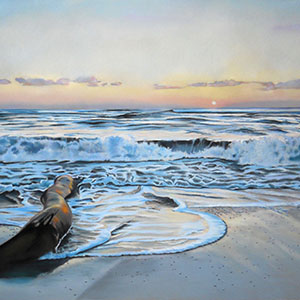 thumbnail of Repose at Lydgate Beach