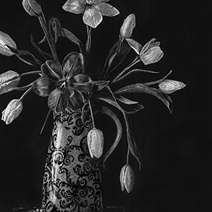 thumbnail of Spring Glory