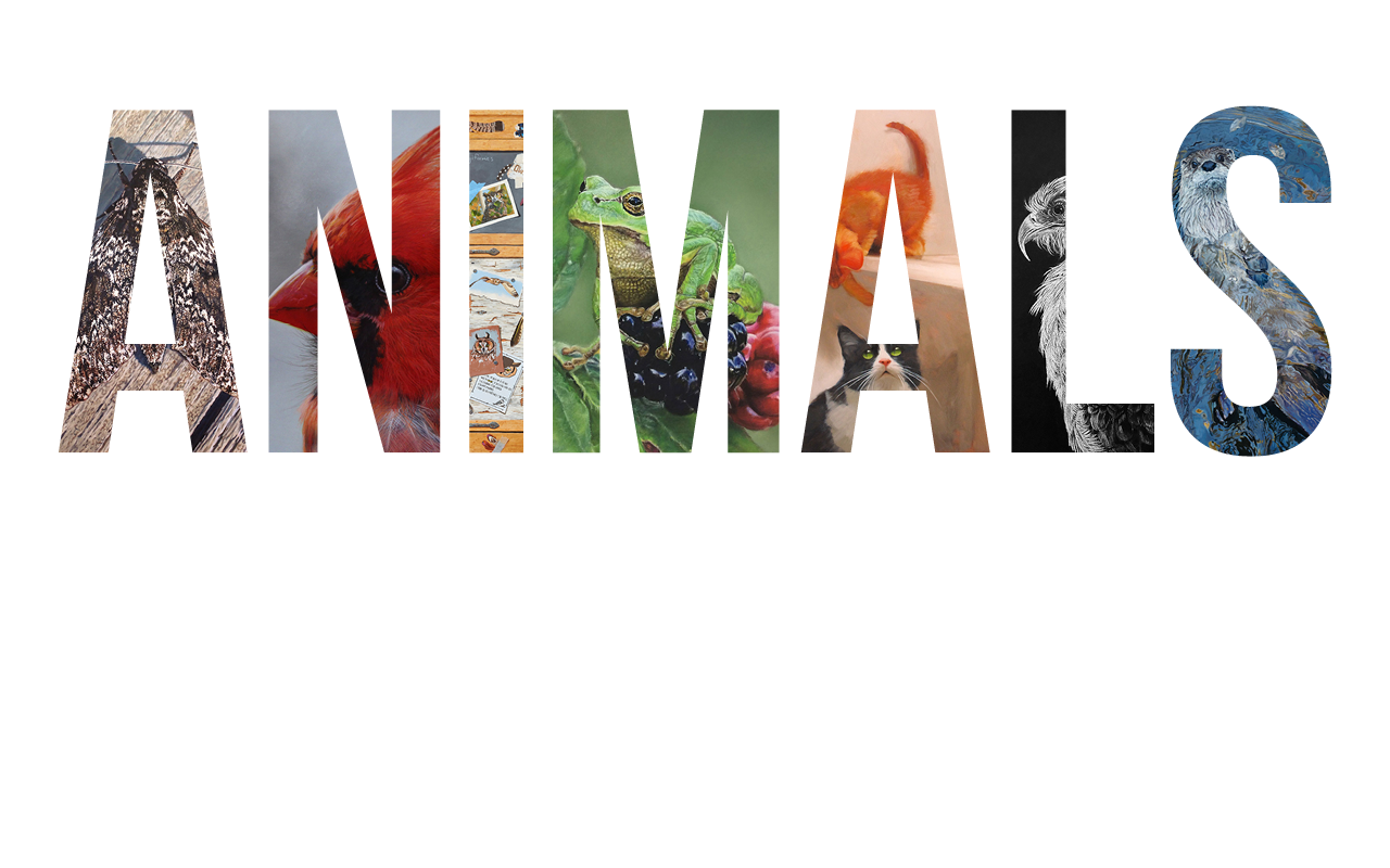 Slide of Animals, Birds & Wildlife