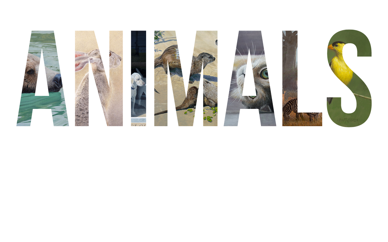 Slide of Animals, Birds & Wildlife