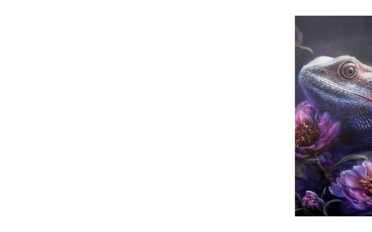 Slide of latest show teaser