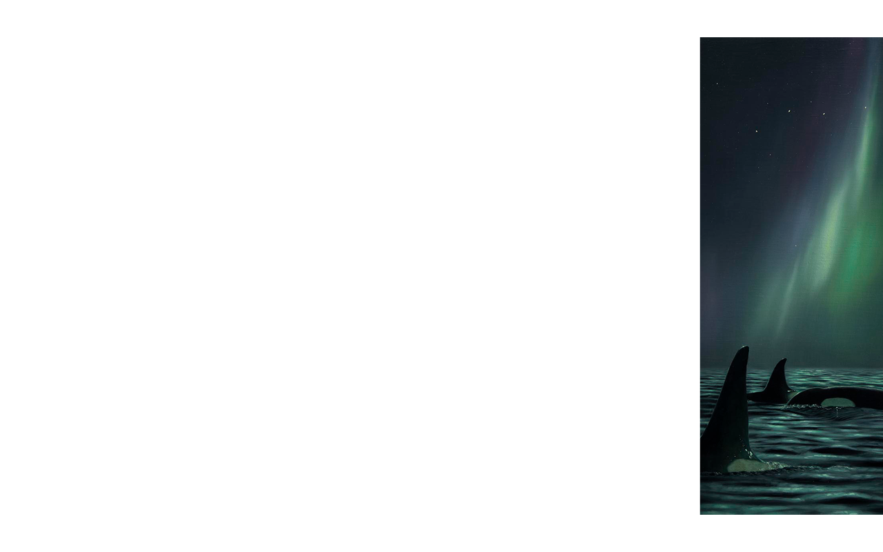 Slide of latest show teaser
