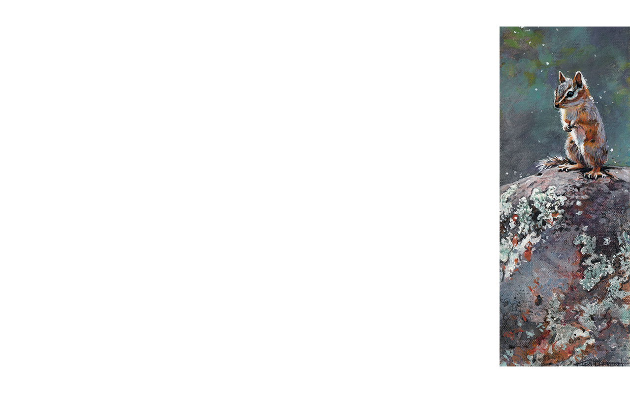 Slide of latest show teaser