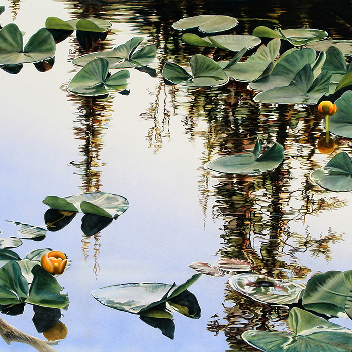 thumbnail of Pond Lilies
