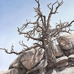 thumbnail of Persistence