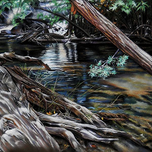 thumbnail of Crossed Limbs