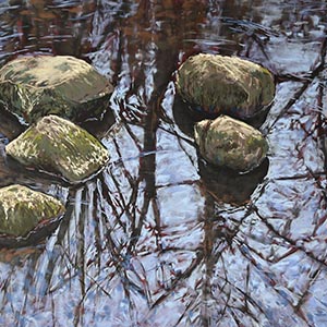 thumbnail of River sloths