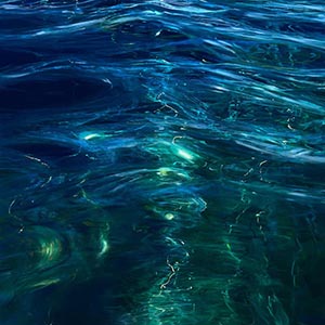 thumbnail of Meditation X
