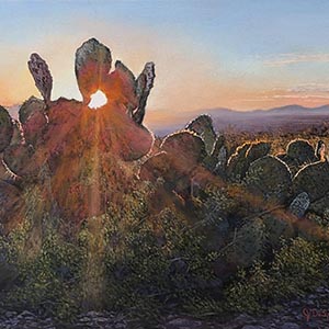 thumbnail of Desert Dusk