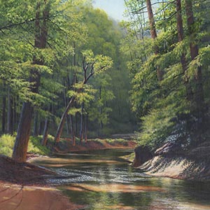 thumbnail of Swift Camp Creek