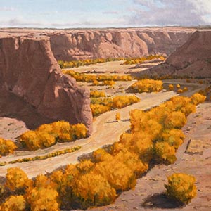thumbnail of Canyon Colors