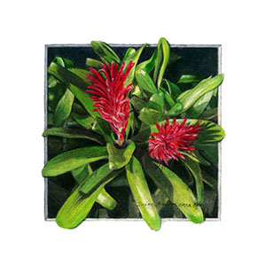 thumbnail of Popping Out