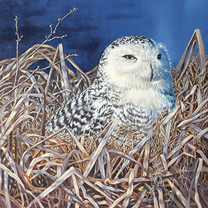 thumbnail of To Sleep, Perchance to Dream