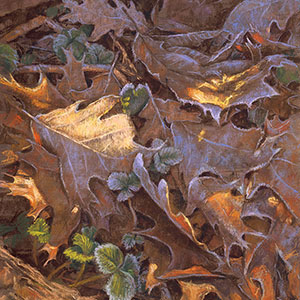 thumbnail of Frosty Gathering