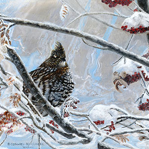 thumbnail of Roughed Grouse