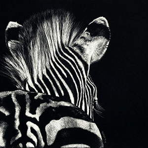 thumbnail of A View From Behind