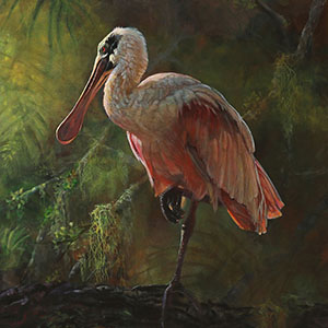 thumbnail of Magic Kingdom