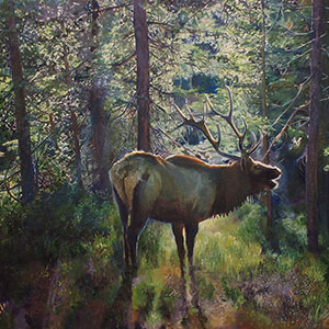 thumbnail of The Forest King