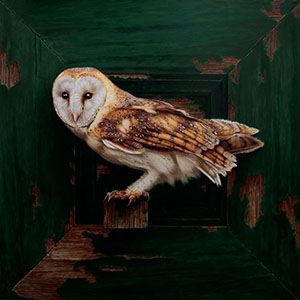 thumbnail of Queen of The Hallowed Wood