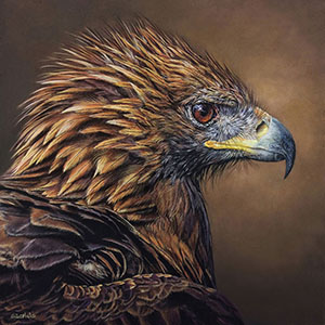 thumbnail of Untamed Mystery