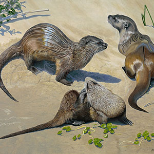 thumbnail of Beach Bums