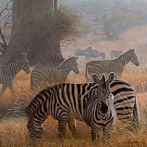 thumbnail of Dawn has Secrets to Tell You