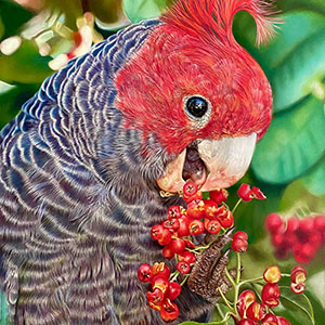 thumbnail of A Taste of Nature