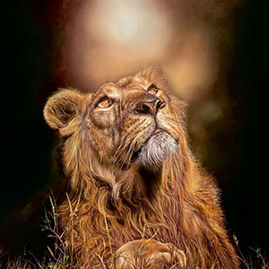 thumbnail of Strength in the Light