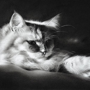 thumbnail of King of Time