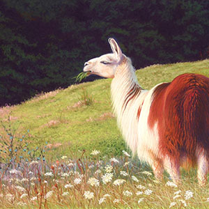 thumbnail of Morning Sun & Autumn Lace