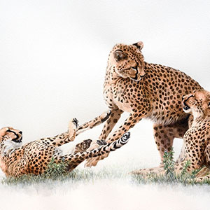 thumbnail of Hey Mom!