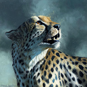 thumbnail of After the Rain