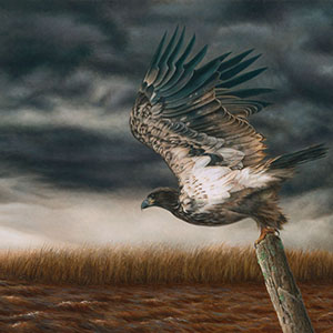 thumbnail of The Power of Youth