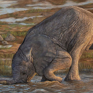 thumbnail of Balancing Act