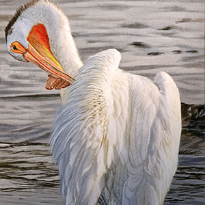 thumbnail of American White