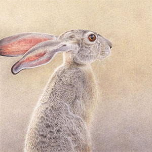 thumbnail of Should I Stay Or Should I Go?