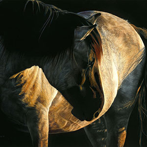 thumbnail of Golden Hour