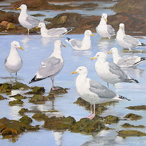 thumbnail of Birds of a Feather