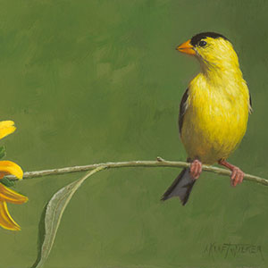 thumbnail of Declare Their Maker's Praise