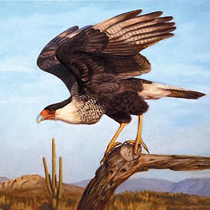 thumbnail of Taking Flight