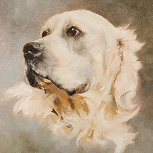 thumbnail of Maverick