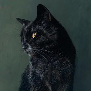 thumbnail of Tama