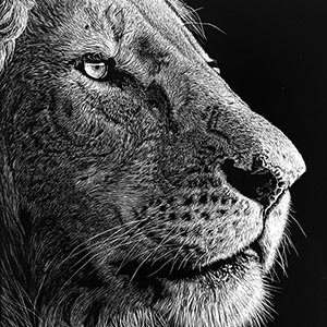 thumbnail of King