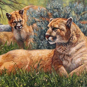 thumbnail of A Pounce Away From Grounded