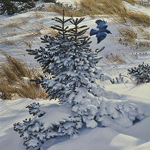 thumbnail of Cruising the Drifts
