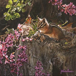thumbnail of Chipmunk and Redbuds